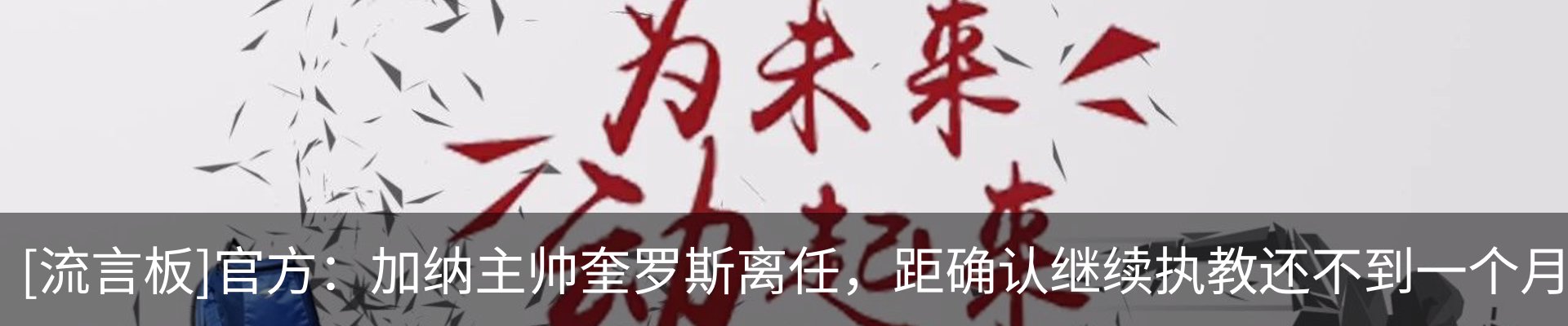 最新动态